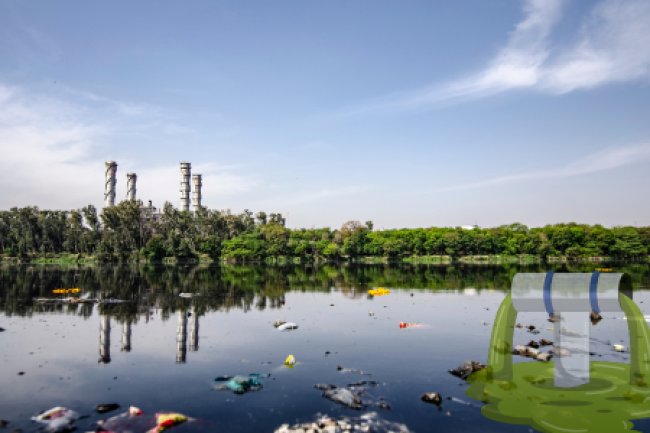 Pharmaceutical Waste Management: Risks and Solutions for the Environment
