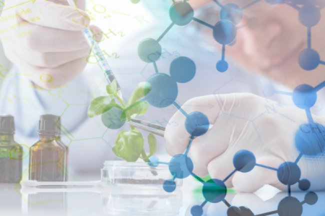 Sustainable Synthesis: How Green Chemistry Is Driving Industrial Change