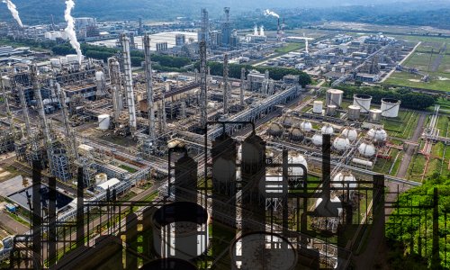 From Petroleum to Plants: The Rise of Bio-Based Chemicals