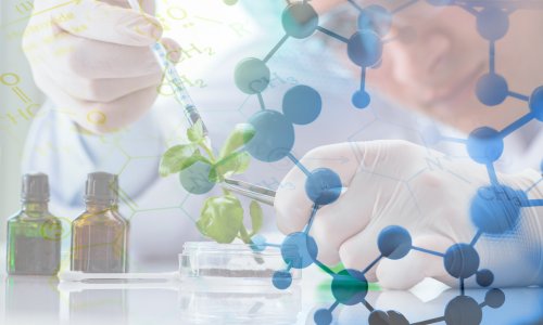 Sustainable Synthesis: How Green Chemistry Is Driving Industrial Change